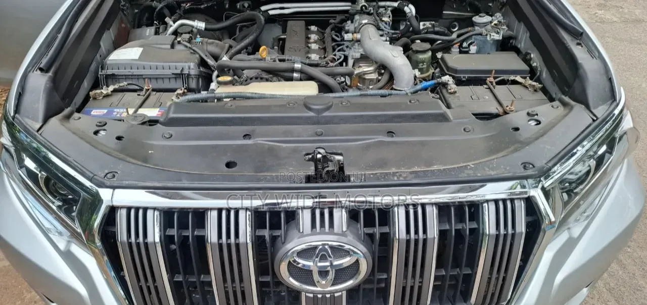 Toyota Land Cruiser Prado 2010 Silver