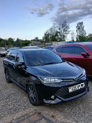 Toyota Corolla Fielder 2017 Black