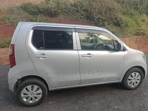 Suzuki Wagon R 2015 Silver