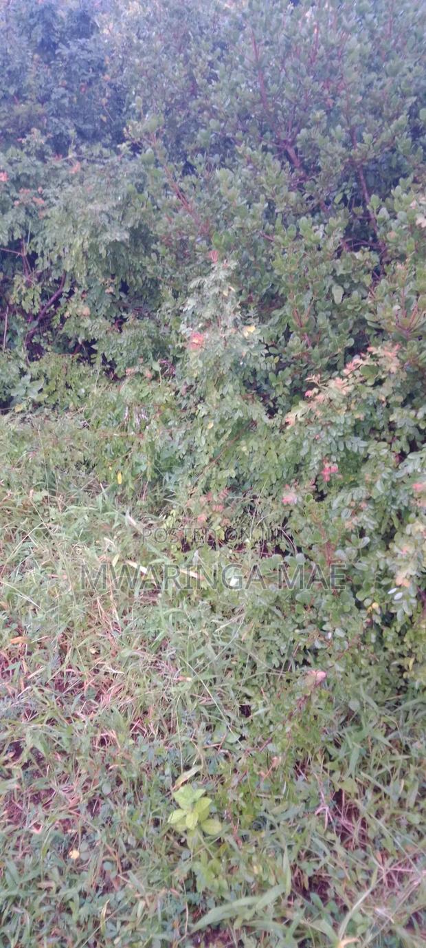 Plot for Sale - main view