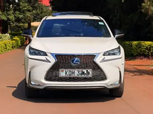 Lexus NX 2015 White
