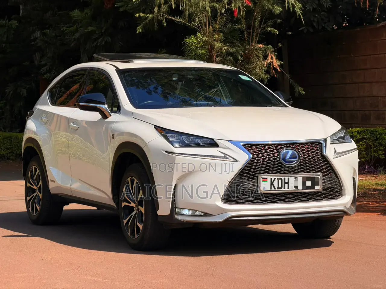 Lexus NX 2015 White