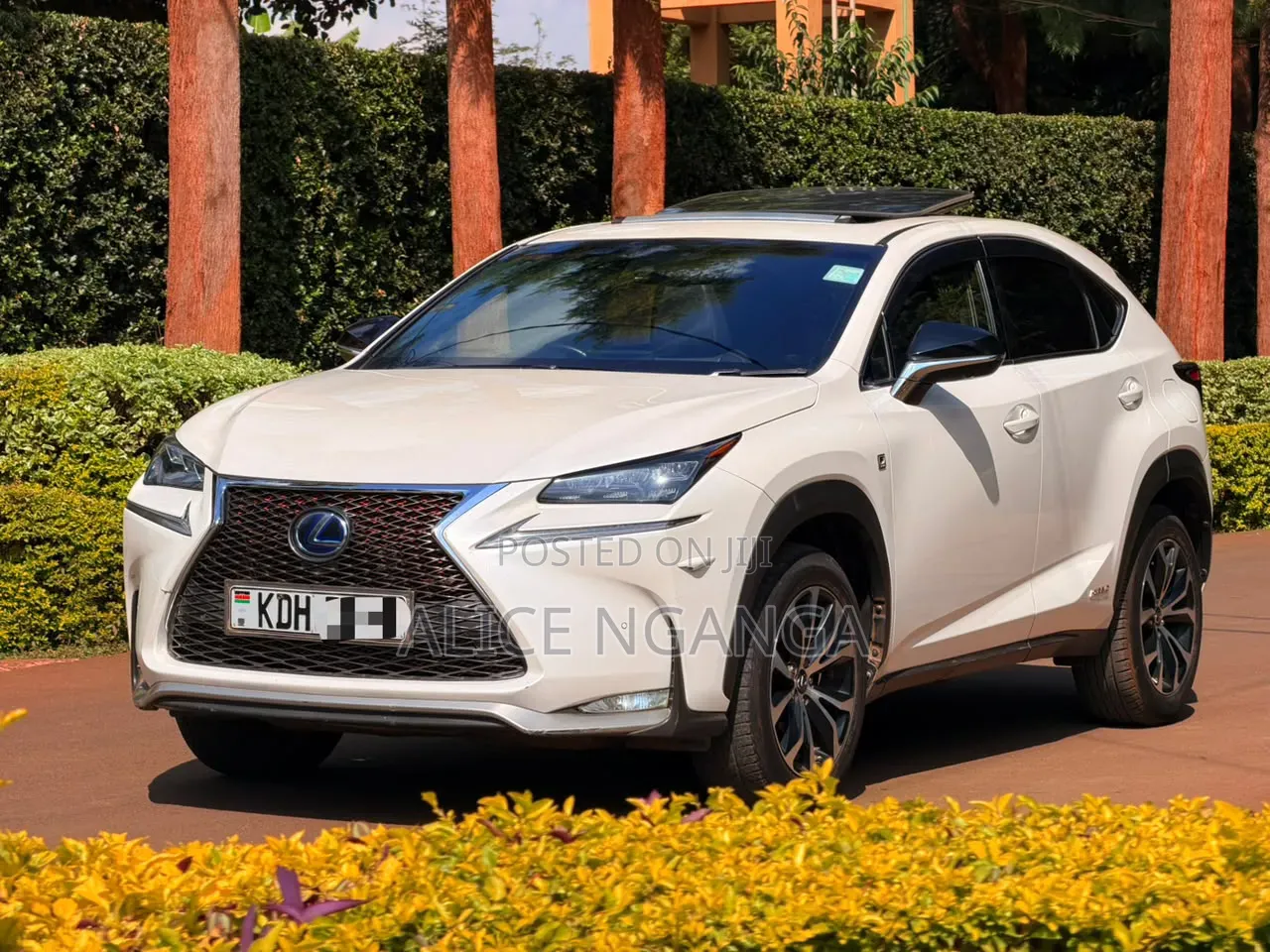 Lexus NX 2015 White