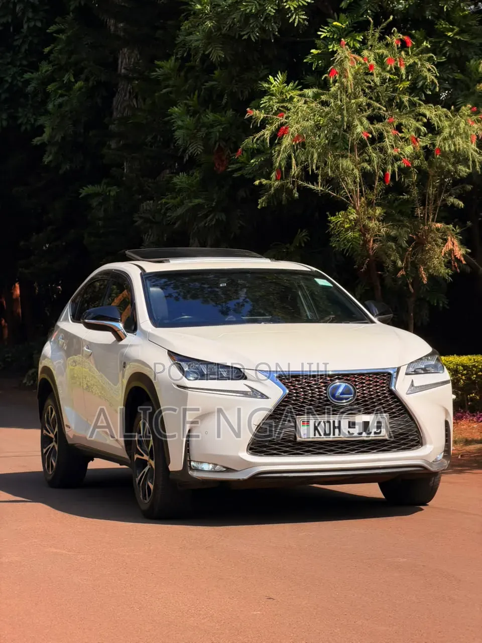 Lexus NX 2015 White