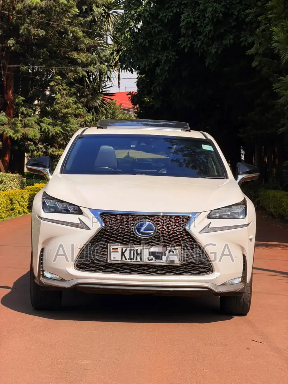 Lexus NX 2015 White