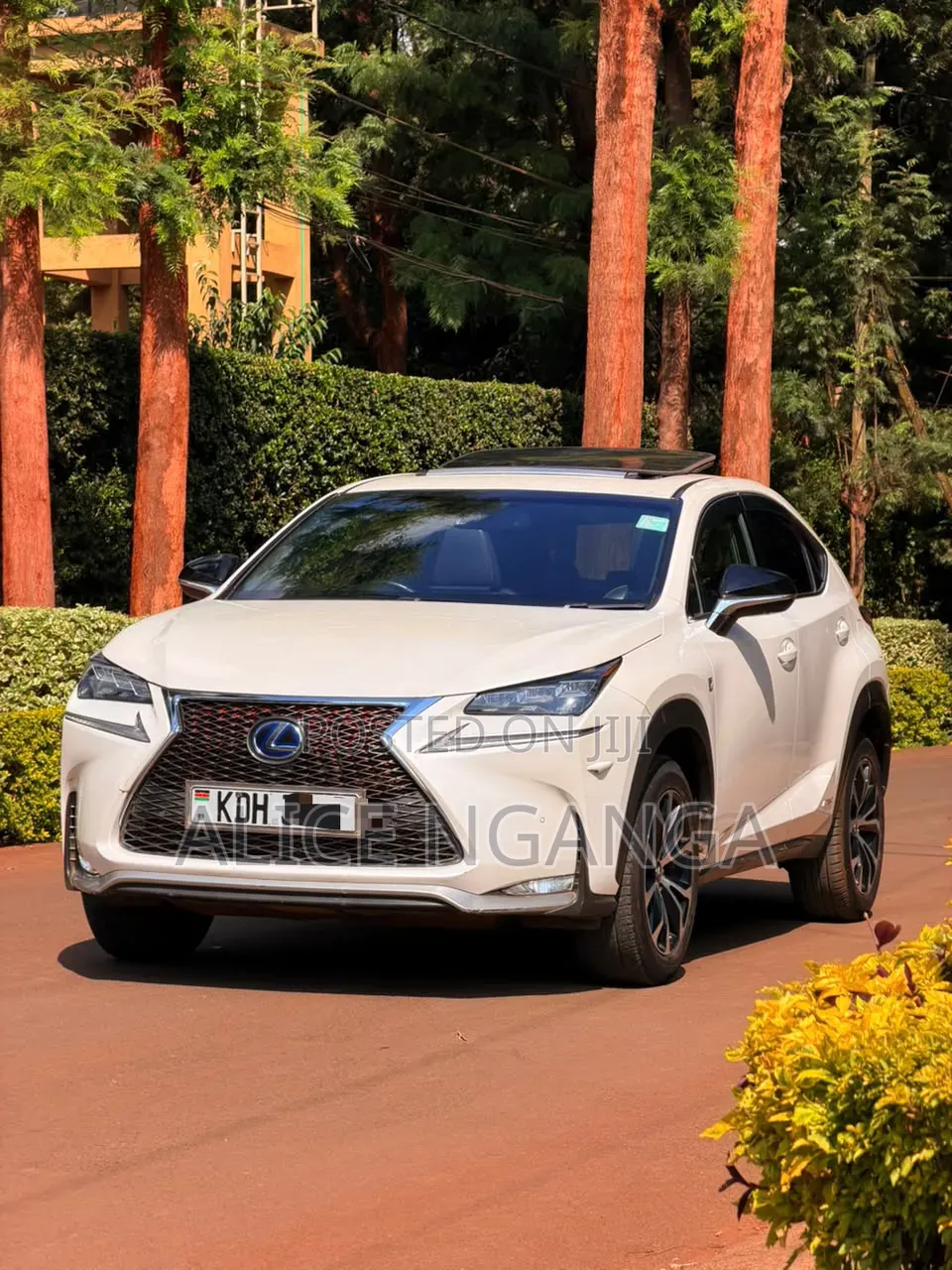 Lexus NX 2015 White