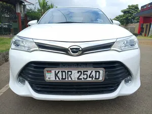 Toyota Axio 2017 White