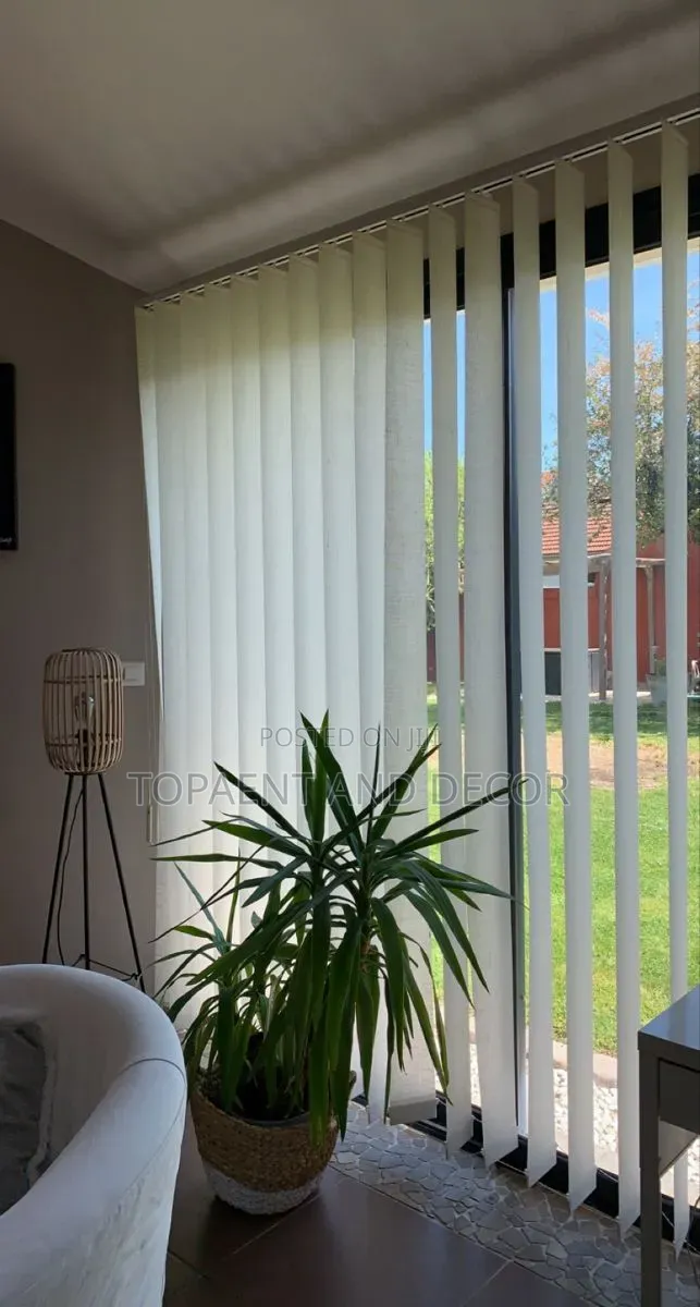 Modern Window Blinds