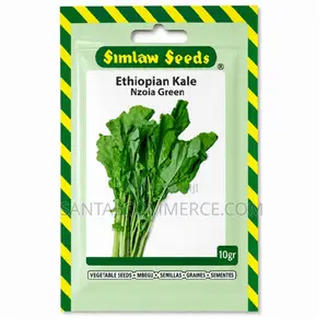 10g Ethiopian Kale (Nzoia Green)
