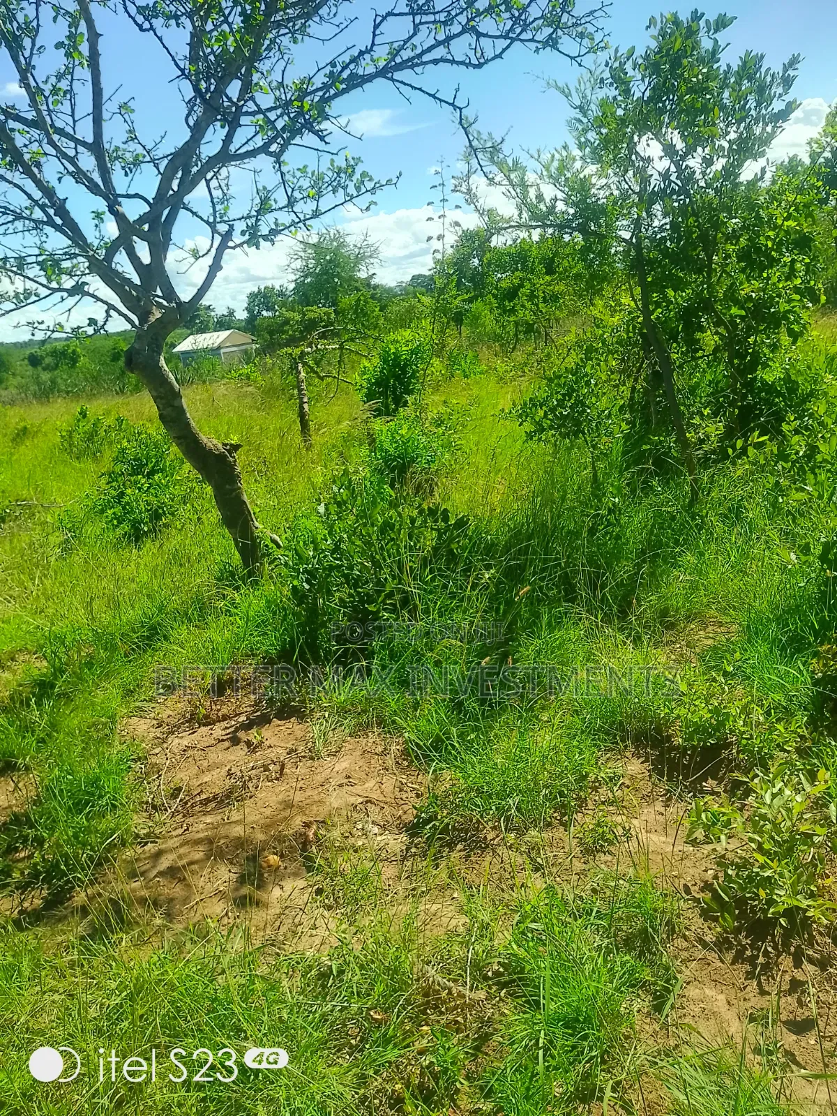 1/2 Acre 100m From Tarmac on a Fully Developed Area
