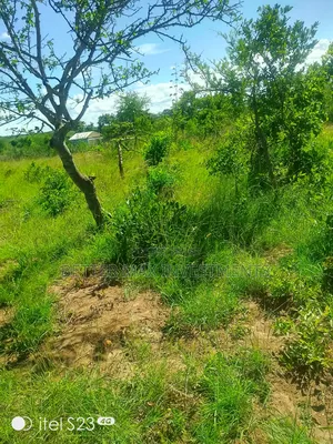 1/2 Acre 100m From Tarmac on a Fully Developed Area