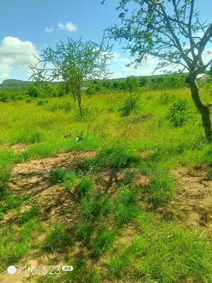 1/2 Acre 100m From Tarmac on a Fully Developed Area