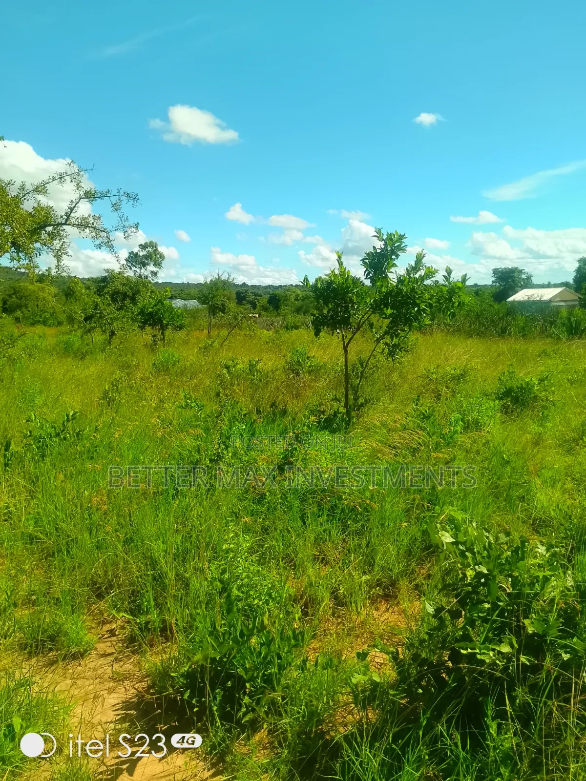 1/2 Acre 100m From Tarmac on a Fully Developed Area