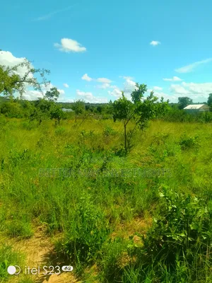 1/2 Acre 100m From Tarmac on a Fully Developed Area
