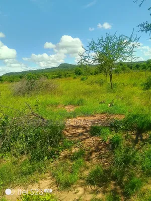1/2 Acre 100m From Tarmac on a Fully Developed Area