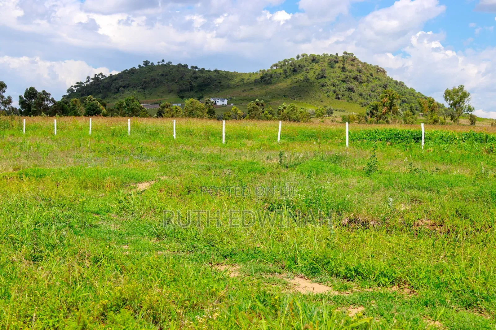 50 by 100 Naivasha ( Kongoni) Plots for Sale