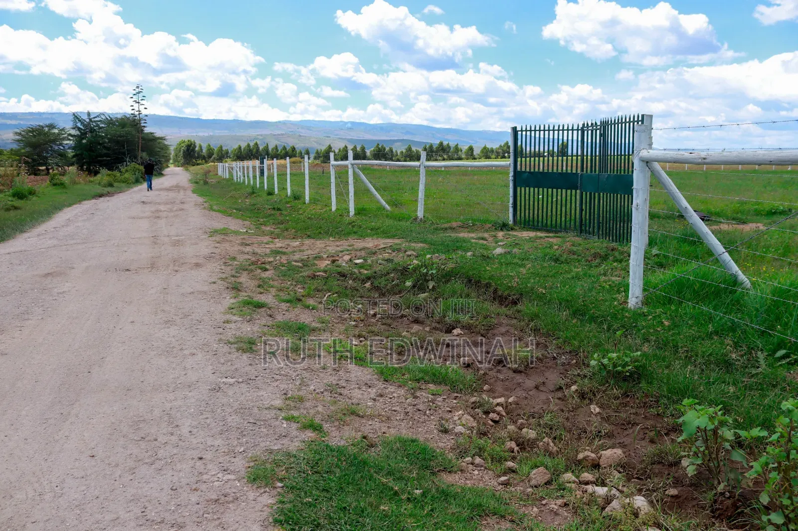 50 by 100 Naivasha ( Kongoni) Plots for Sale
