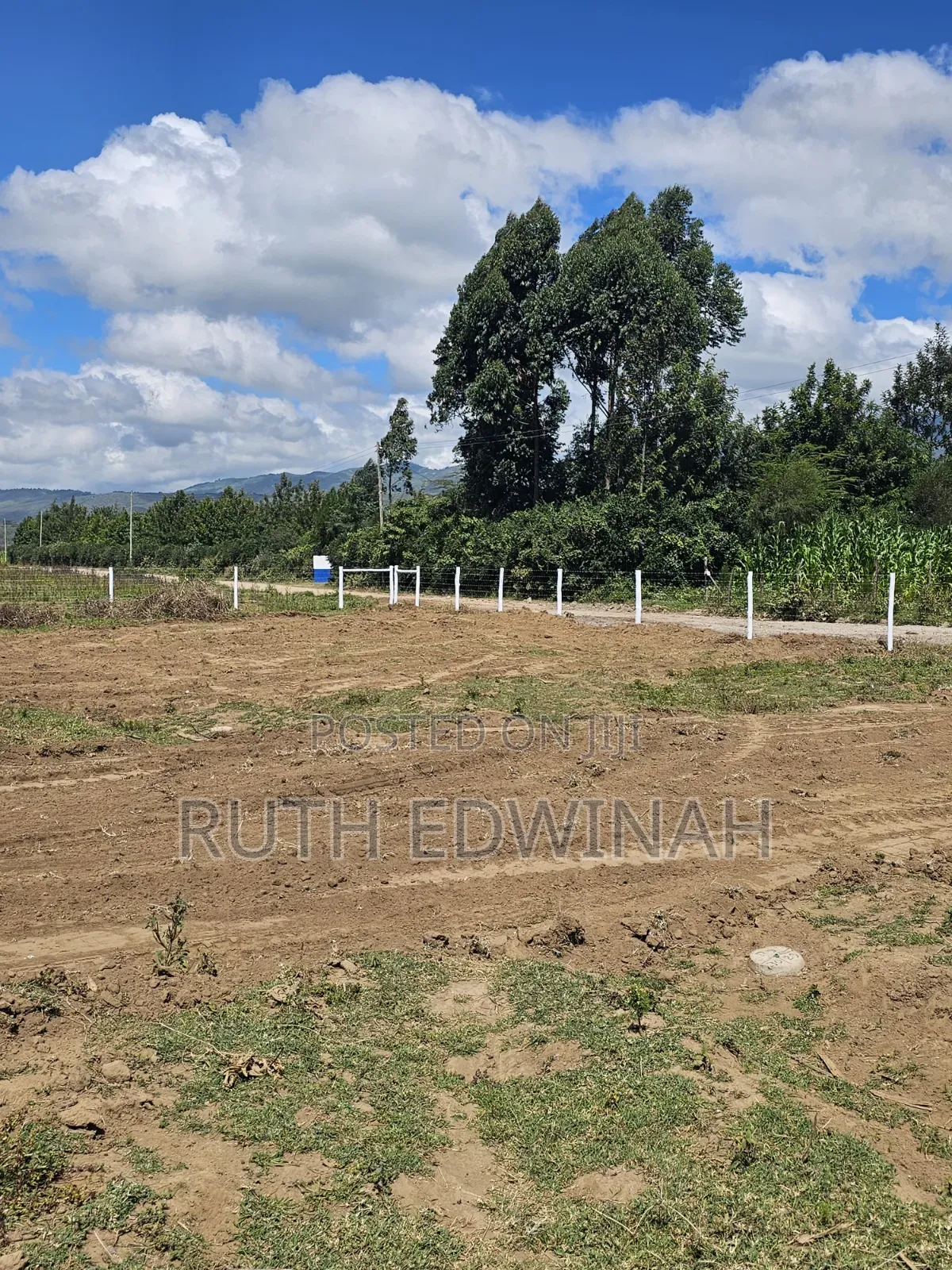 50 by 100 Naivasha ( Kongoni) Plots for Sale