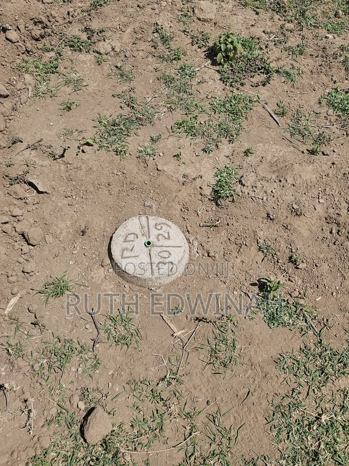 50 by 100 Naivasha ( Kongoni) Plots for Sale