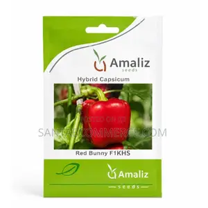 Amaliz Hybrid Capsicum Red Bunny F1khs Seeds