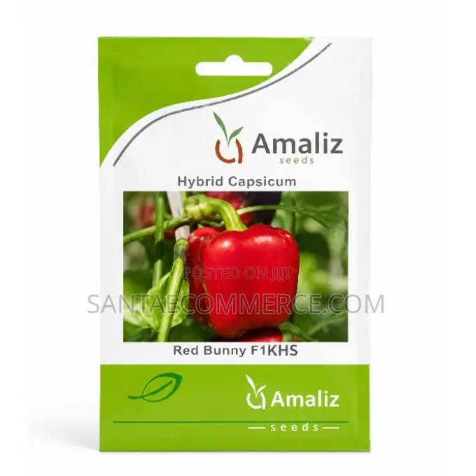 Amaliz Hybrid Capsicum Red Bunny F1khs Seeds