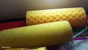 Spongy Roller Brush 9"
