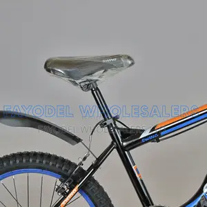 Swing Sport Bike Size 20 – Perfect for Growing Riders