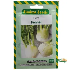 Premium Fennel Herb Seeds – 10g Aromatic Vegetable Herb Garden Pack