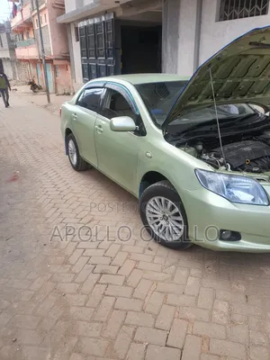 Toyota Axio 2009 Green