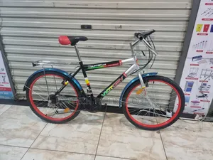Victory Mountain Bicycle Size 24