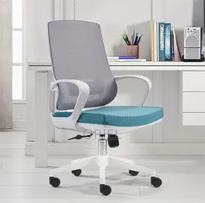 Office Chair : Mesh Gray Backrest Office Chair