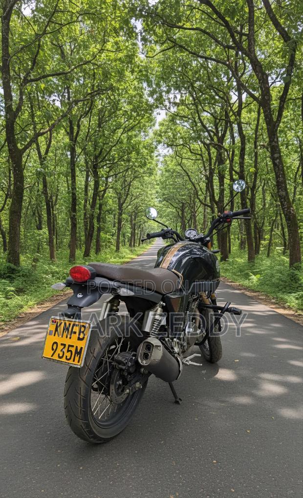 Zontes ZT250-V 2020 Black - thumbnail 3