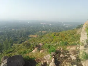 Kisumu Korando Town View Land for Sale