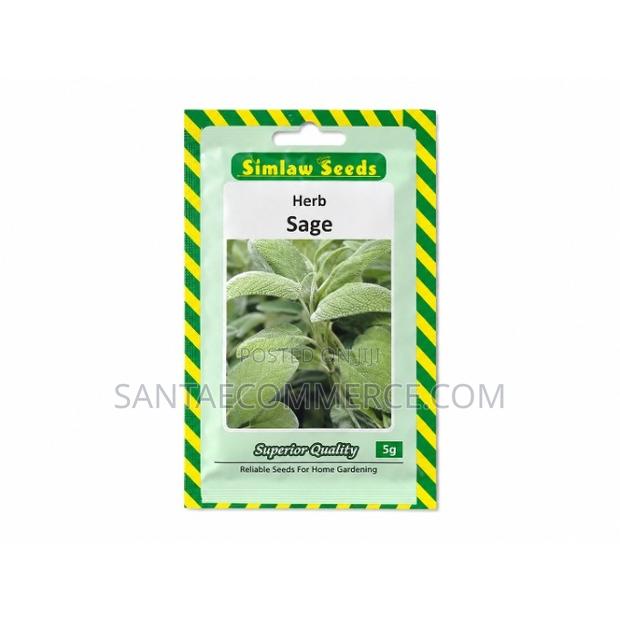 Sage Herb Seeds 10 Grams