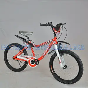 20" Swing Bicycle With Mudguards – Ready to Ride
