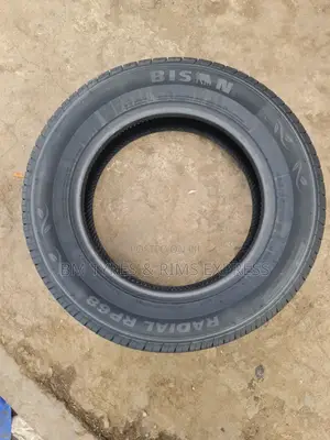 195 /65 R15 Bison Tires.