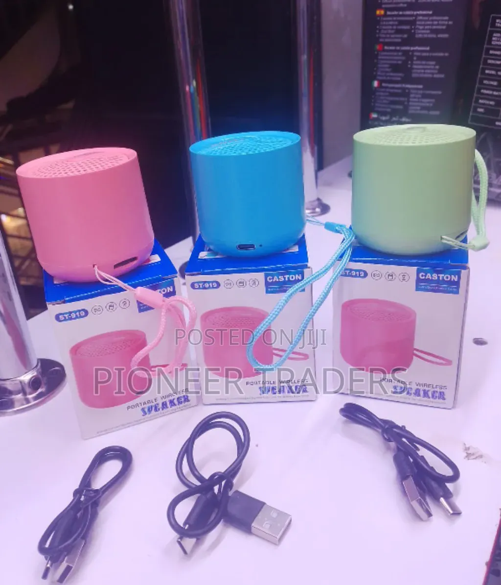 Caston Portable Speaker St_919