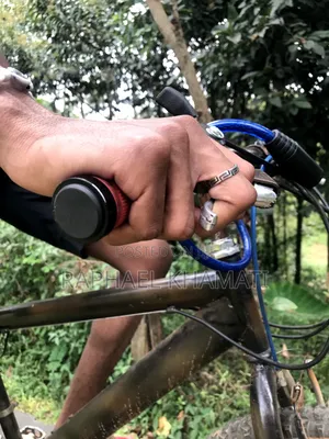 Size 24 Bicycle