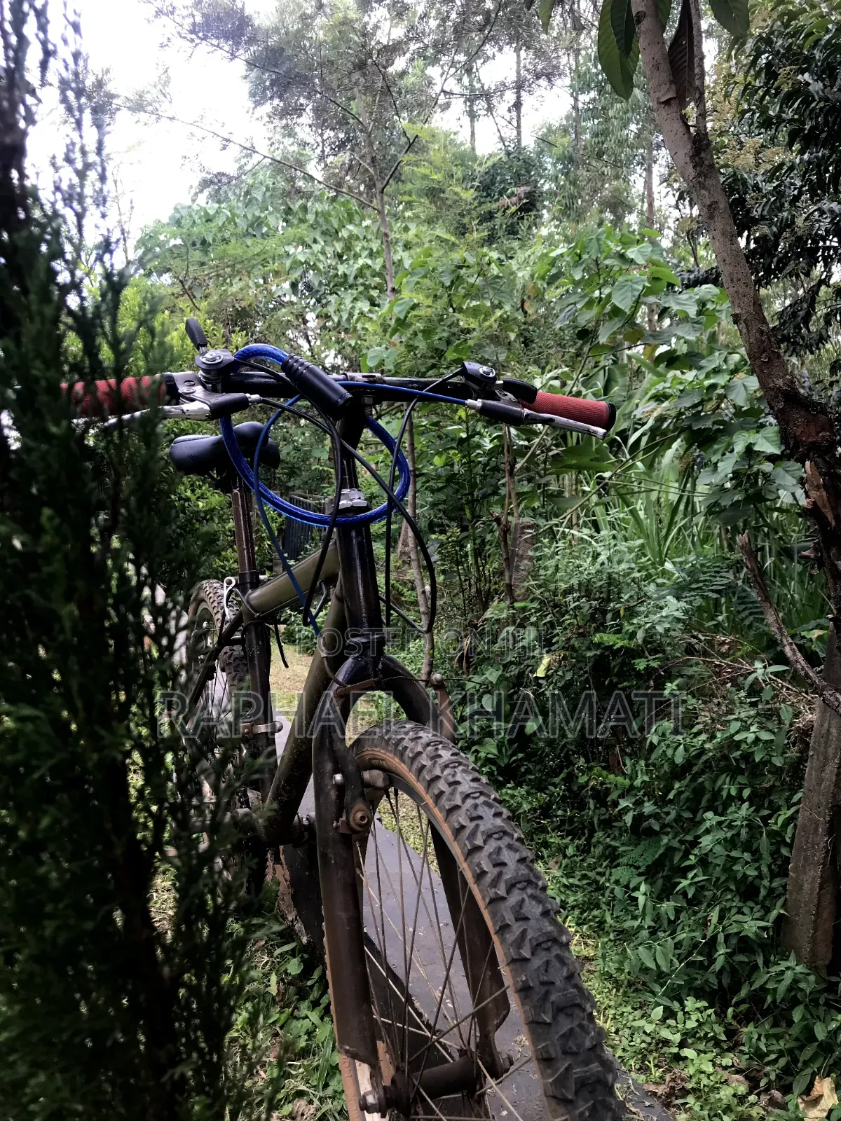 Size 24 Bicycle