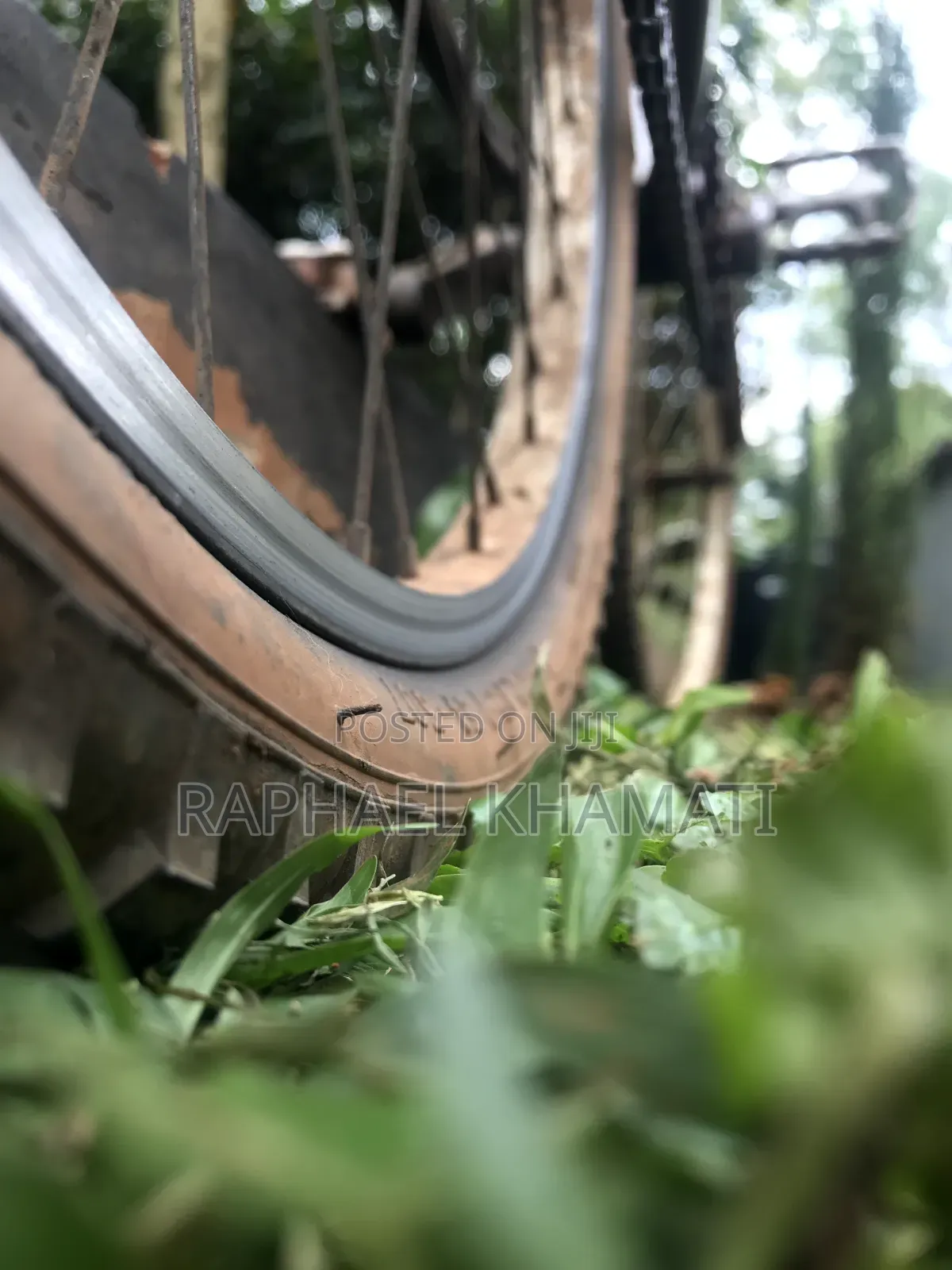 Size 24 Bicycle