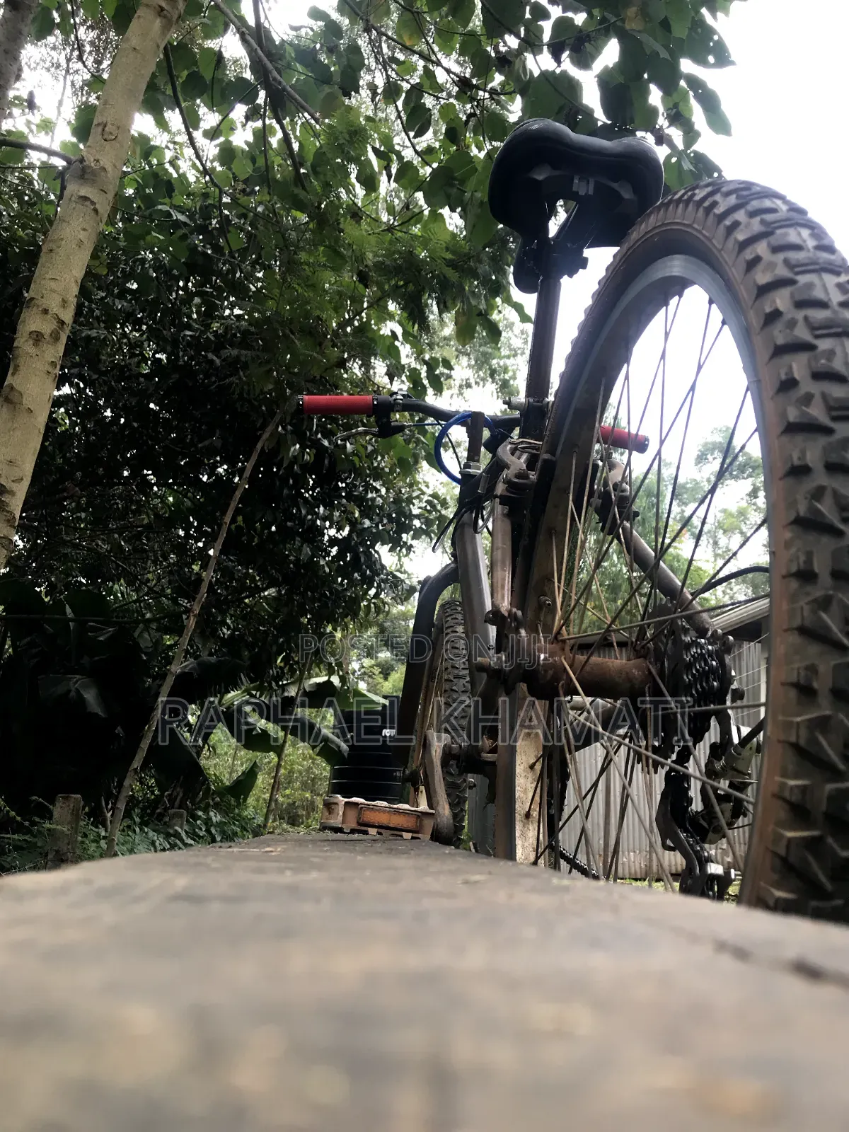 Size 24 Bicycle