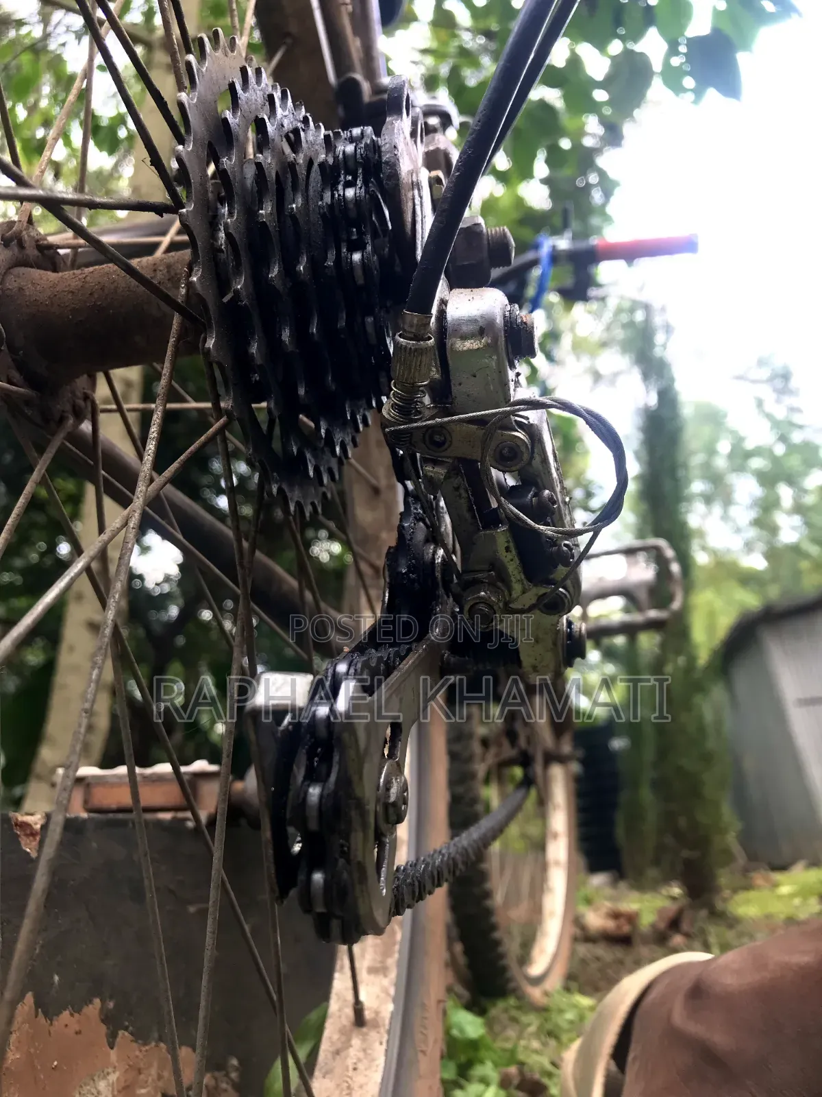 Size 24 Bicycle