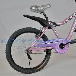 20" Swing Bicycle With Mudguards
