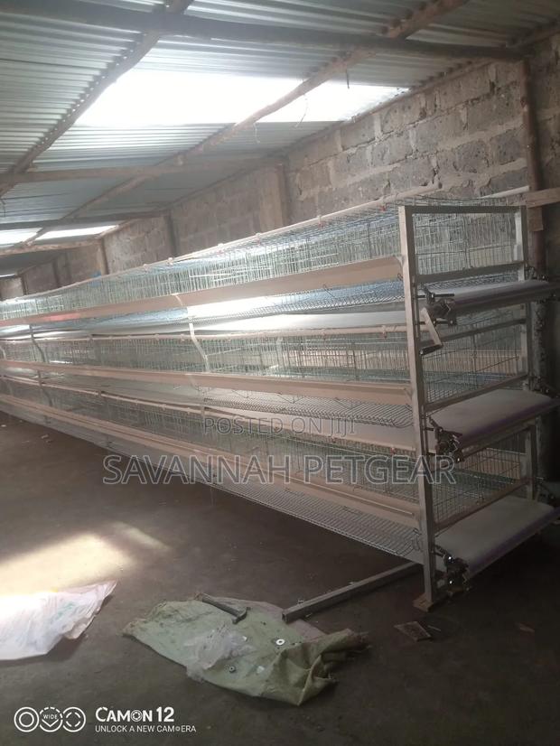 H-Type Layer Chicken Cage System Durable,Galvanized Wire for 96 Layers - thumbnail 3