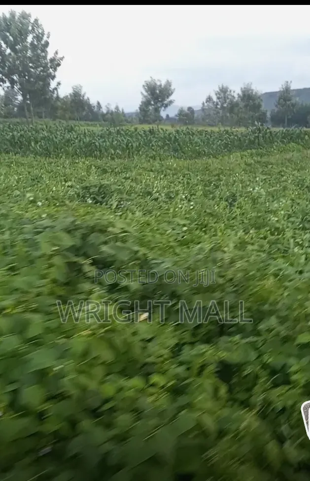 5 Acres-Gilgil