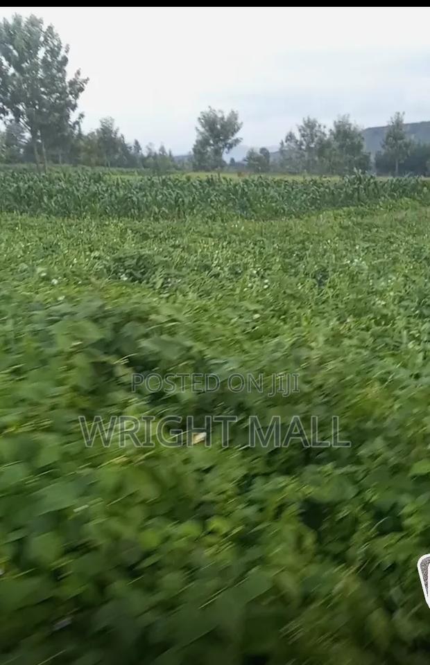 5 Acres-Gilgil - thumbnail 2