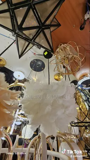 Feather Lamps Pendants