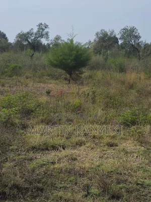 1/8th Acre for Sale at Naivasha