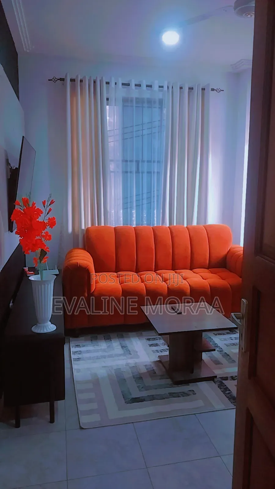 Furnished 1bdrm BNB Apartment in Mwembeni, Mtambo for Rent