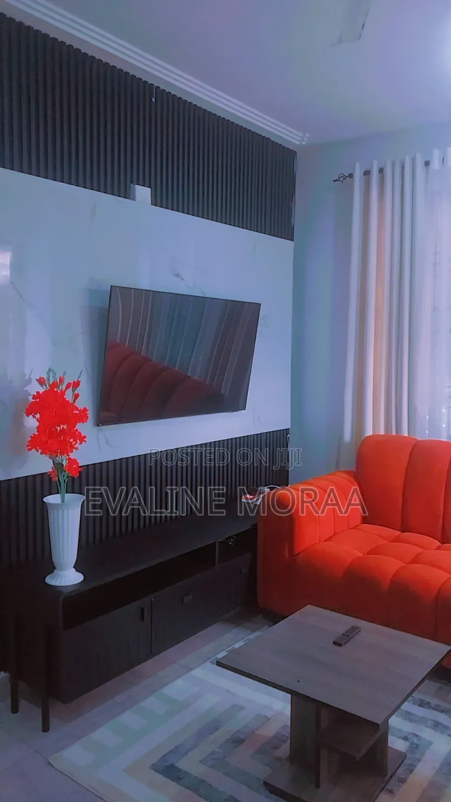 Furnished 1bdrm BNB Apartment in Mwembeni, Mtambo for Rent